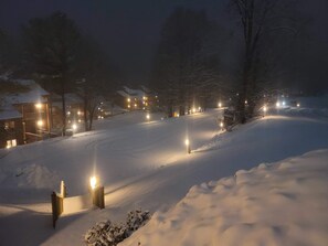 Property grounds - Northern Michigan Getaway | Pool Pass | Golf + Ski (Bellaire)