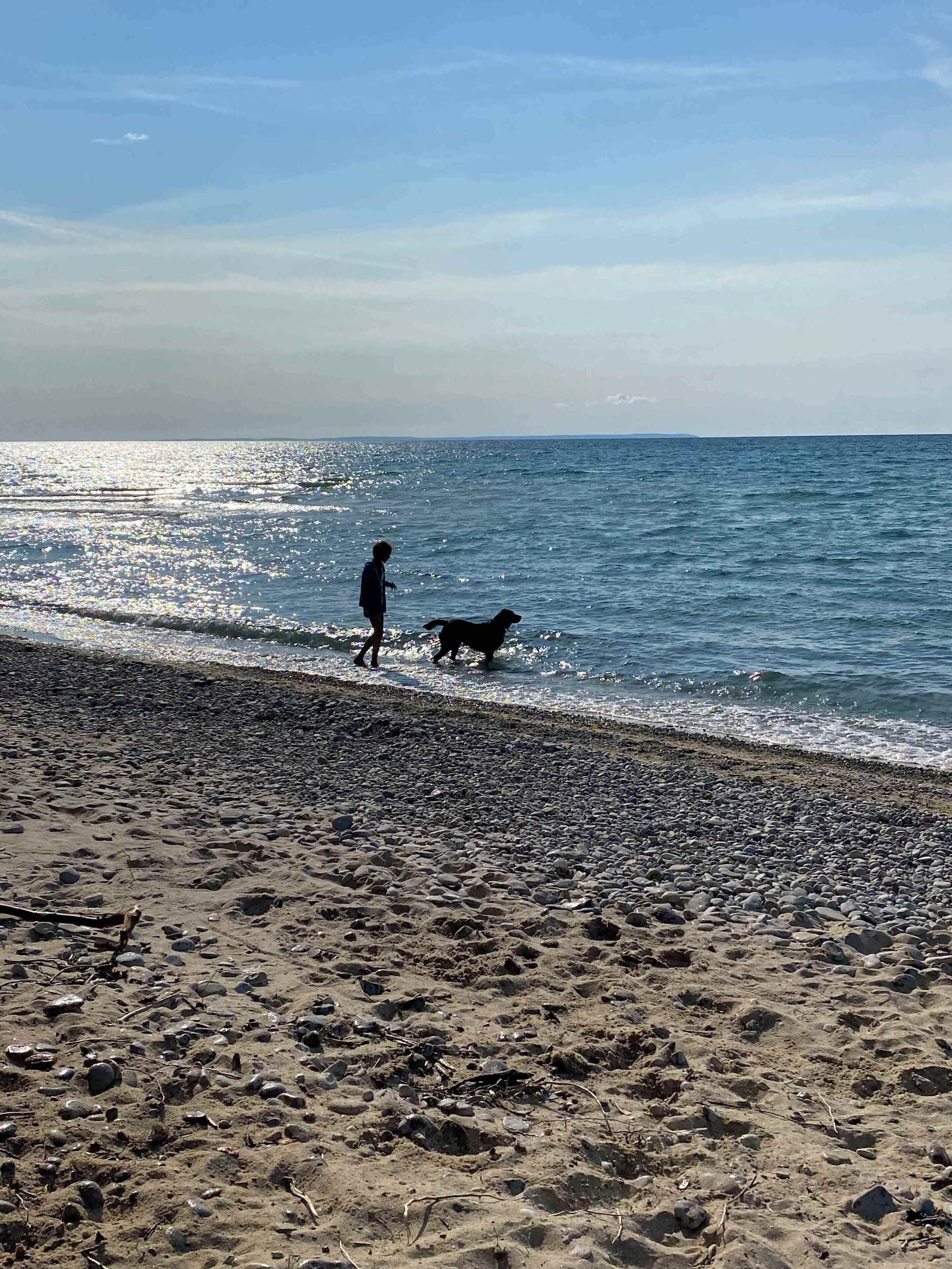 Een strand met een persoon en een hond die langs de kust wandelen.