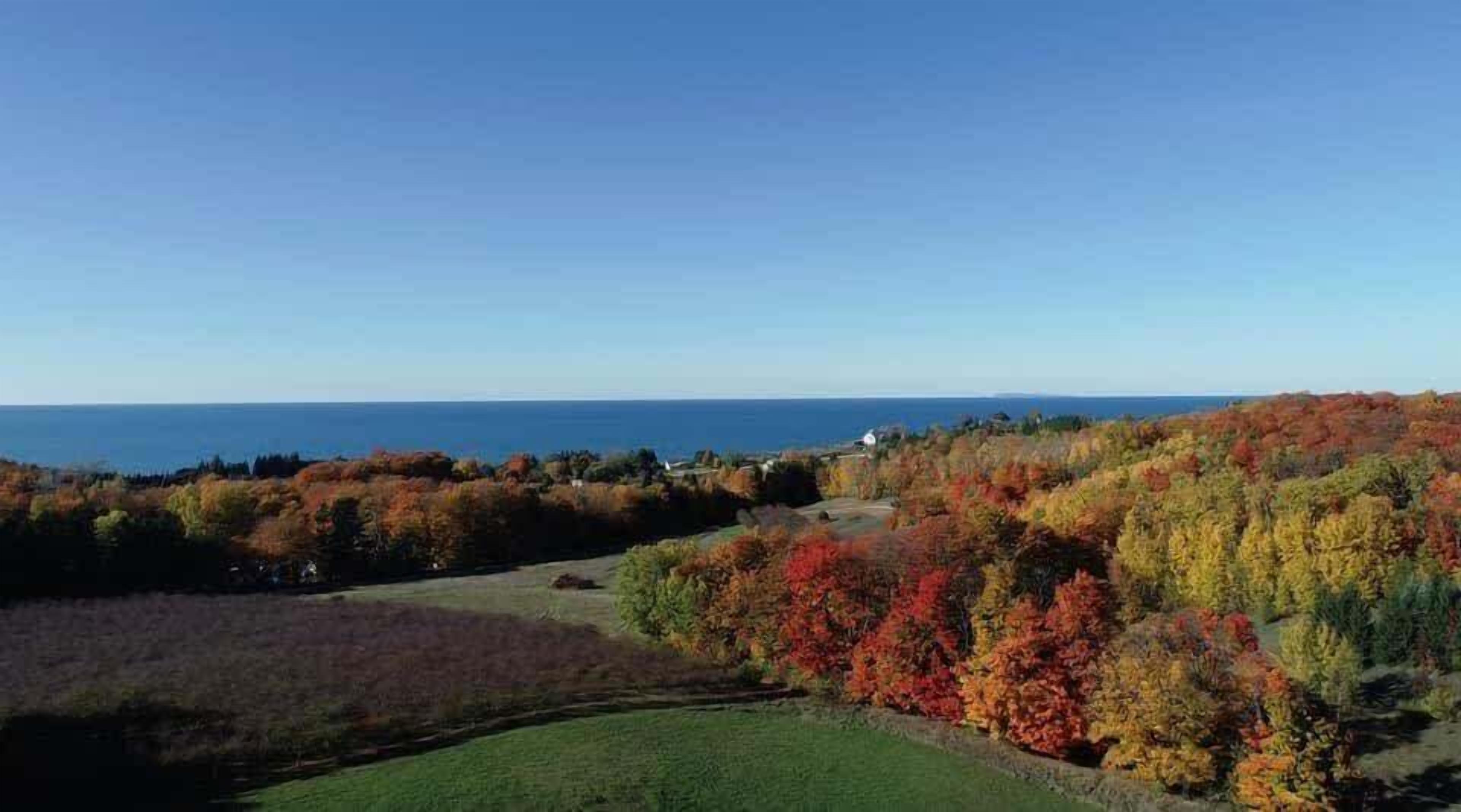 A panoramic view of a coastal landscape with autumn foliage, a clear sky, and a distant view of the sea.