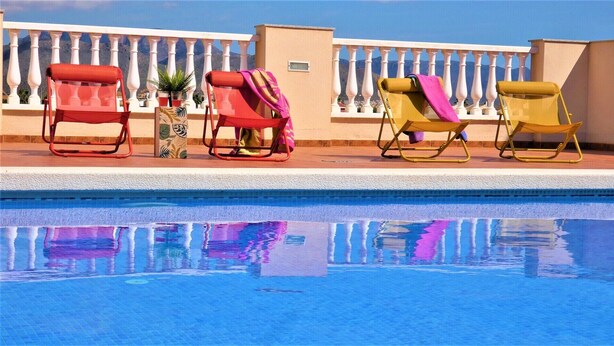 Un espace aménagé au bord de la piscine, avec quatre chaises longues et une plante en pot.