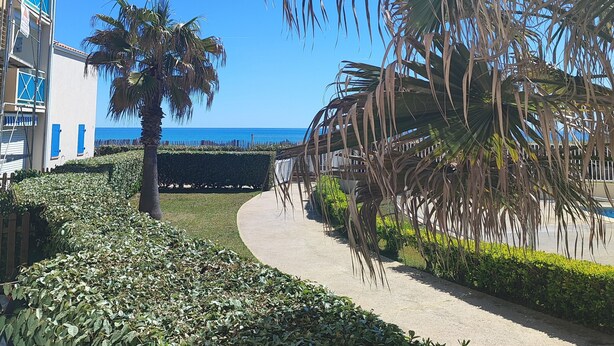 A pathway lined with greenery, palm trees, and a building with blue shutters. - Beachfront apartment with pool, air conditioning and wifi (Frontignan)