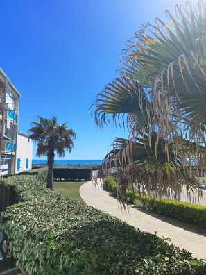 A pathway lined with greenery, palm trees, and a building with blue shutters. - Beachfront Apartment with Pool, Air Conditioning, and Wi-Fi (Frontignan)