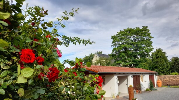 Una casita con techo de tejas rojas, rodeada de exuberante vegetación y rosales rojos.