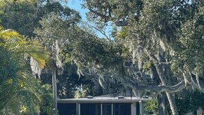 Une jetée en bois mène à une maison dotée d’un porche abrité, le tout étant entouré d’une végétation luxuriante et d’arbres.