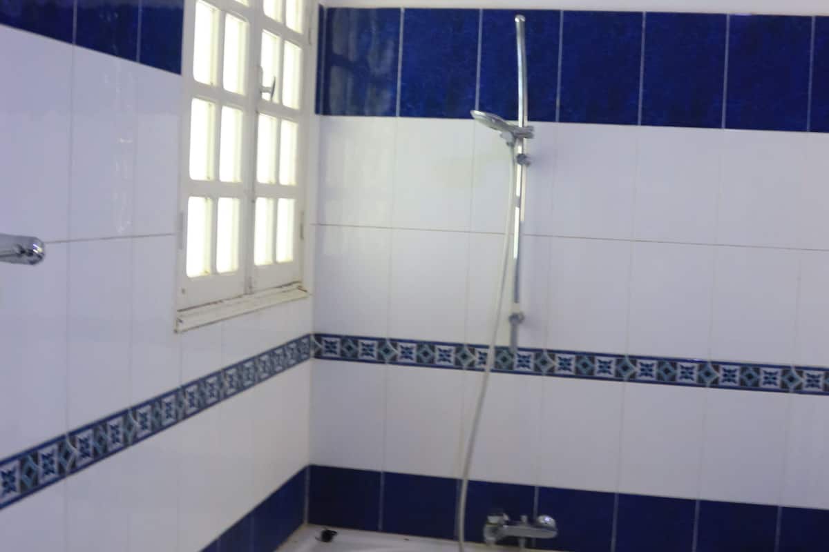 deep-soaking bathtub, soap, shampoo, toilet paper