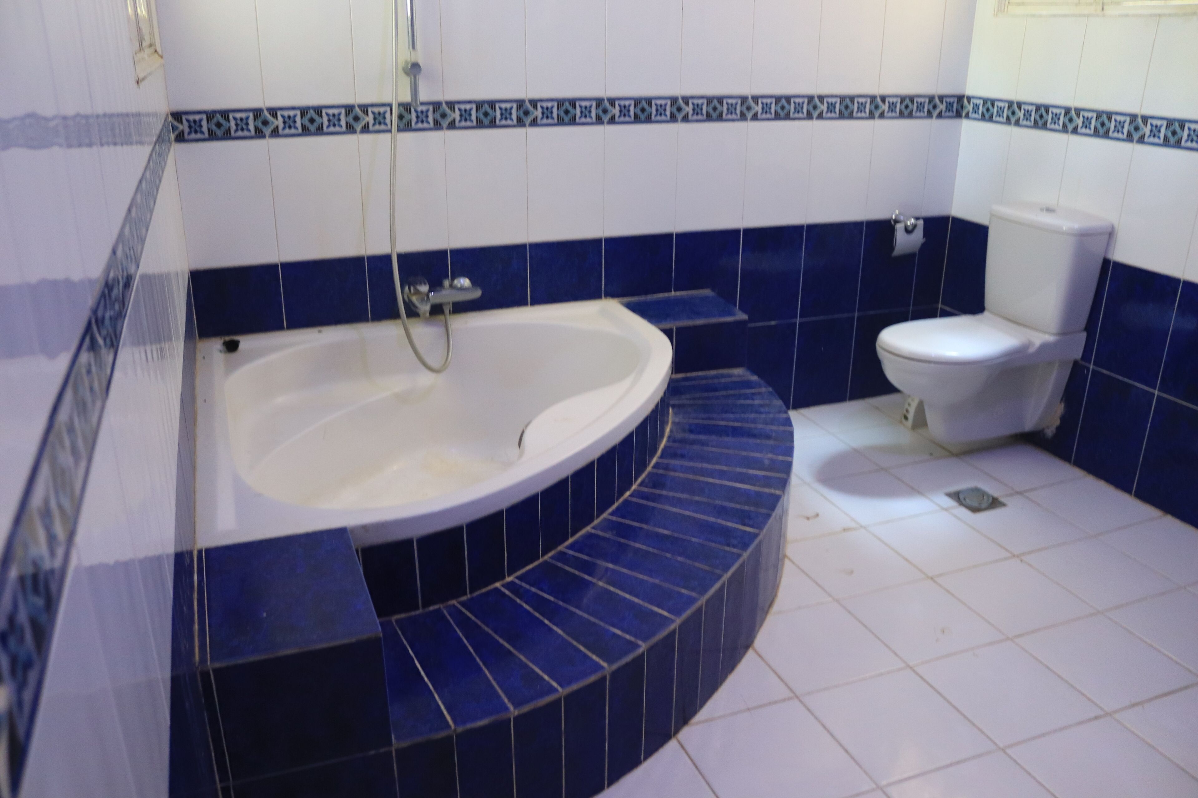 deep-soaking bathtub, soap, shampoo, toilet paper