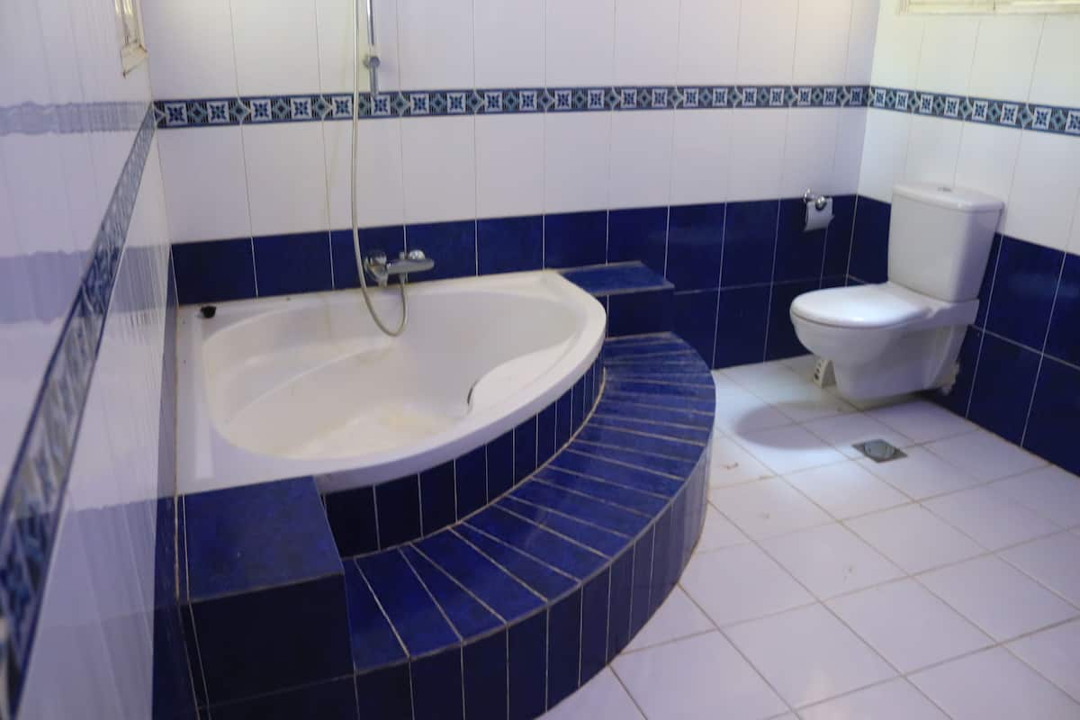 deep-soaking bathtub, soap, shampoo, toilet paper