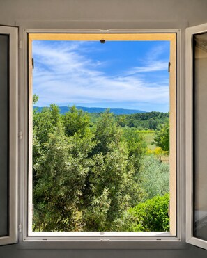 A window with a view of a green landscape and a clear sky.