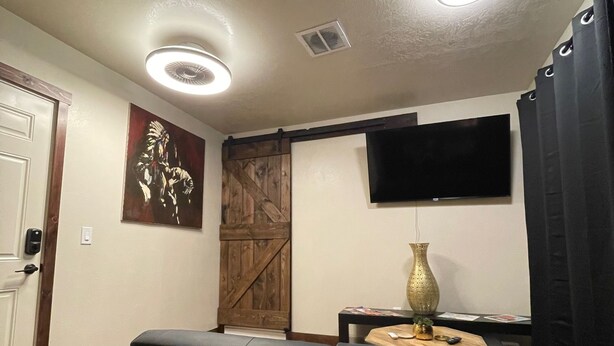 Een woonkamer met een zwarte bank, een wandmontage tv, een houten deur en een plafondlamp.