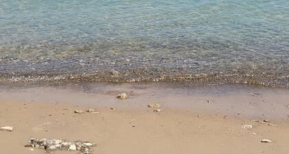 Getaway with river views - 3 bed, 2.5 bath condo on the St. Clair River, U4