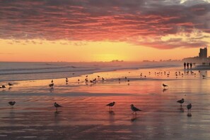 Una spiaggia nelle vicinanze