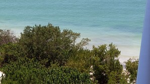 Une vue d’une plage avec une eau cristalline et une végétation luxuriante au premier plan.