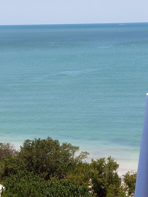 Plage, chaises longues, serviettes de plage