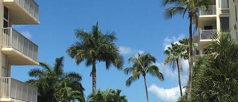 Parco della struttura