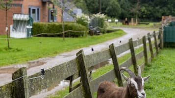 Overnatningsstedets område
