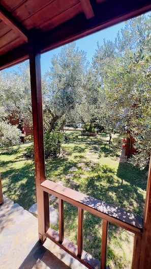 A wooden pergola with a bench overlooking a garden with various plants and a clear blue sky. - Yelkovan Zeytin Evi (Marmara)