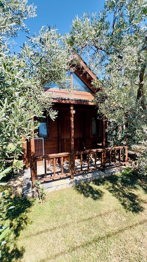 A wooden cabin with a porch, surrounded by olive trees. - Yelkovan Zeytin Evi (Marmara)