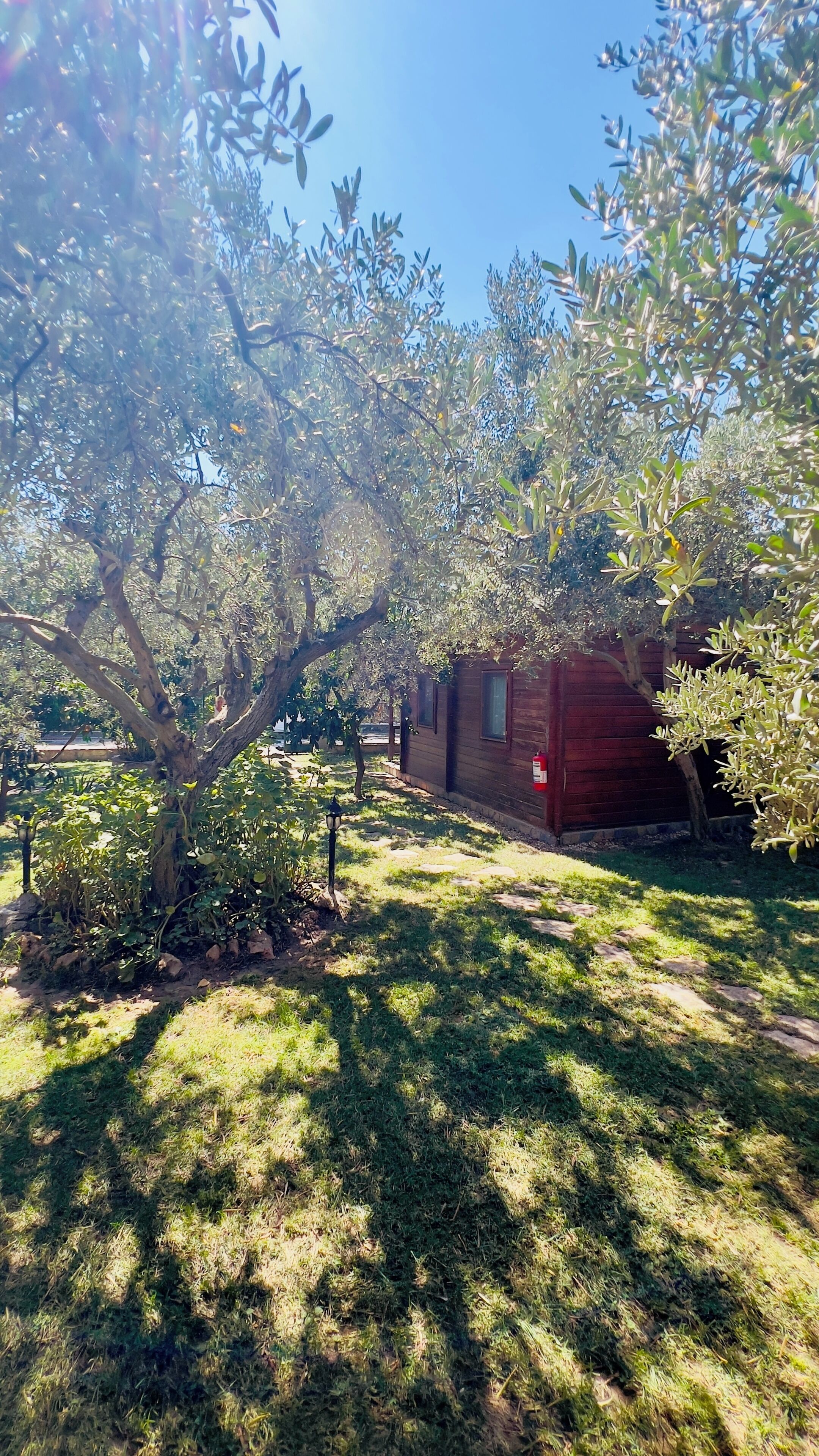 A wooden cabin with a fire extinguisher mounted on the wall, surrounded by a grassy yard and trees.