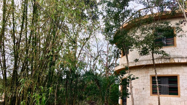 Garden view - La Casa Redonda Tulum - Coba (Francisco Uh May)