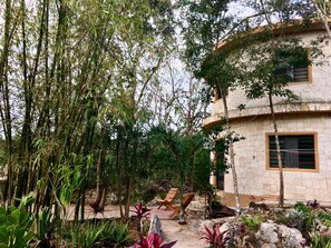 Garden view