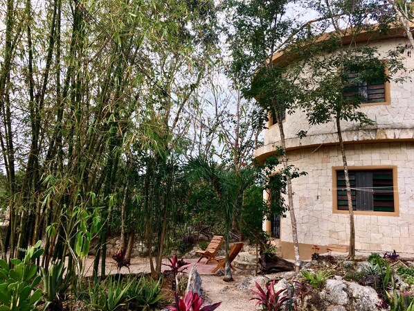Garden view - La Casa Redonda Tulum - Coba (Francisco Uh May)