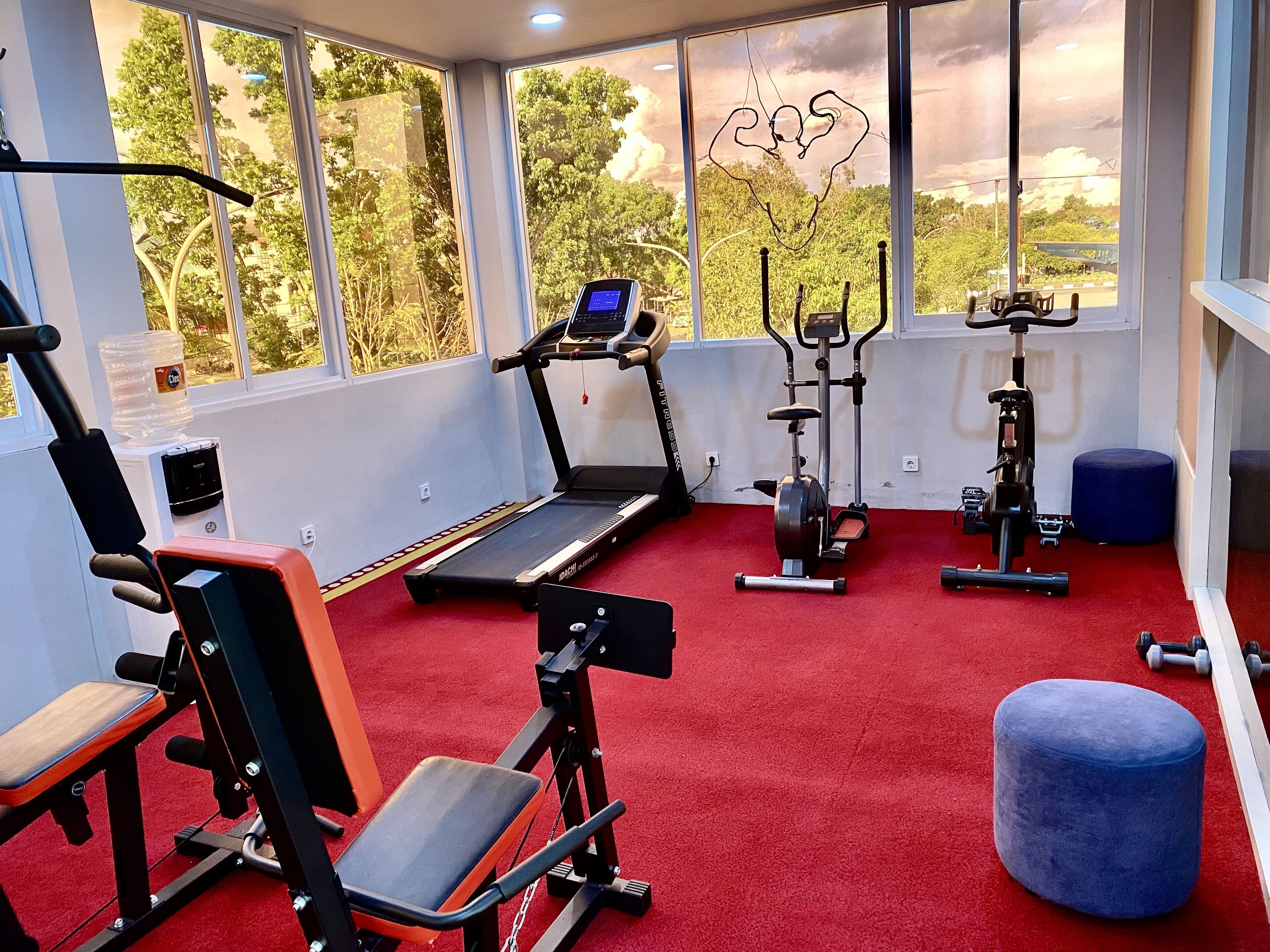 Un gimnasio con equipo cardiovascular, máquinas de pesas y suelo de moqueta roja.