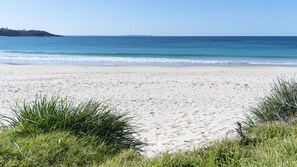 A beach with sand and grass in the foreground, and a calm sea in the background.