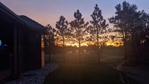 Immagine non classificata, 3 di 6, pulsante