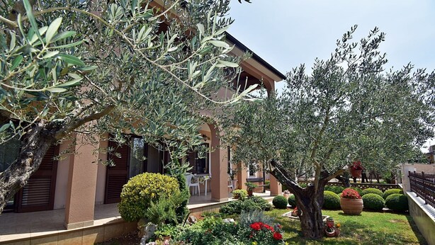 A building with a garden, including olive trees, a lawn, and various plants. - Apartment Tina with Terrace & Lovely Garden (Pula)