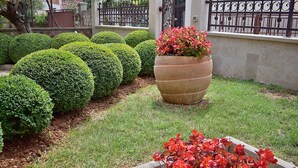 A well-maintained garden with neatly trimmed bushes and a large planter with red flowers. - Apartment Tina with Terrace & Lovely Garden (Pula)