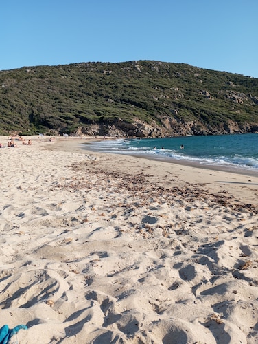 Maison familiale dans les oliviers et le maquis et proximité des plages Tizzano.