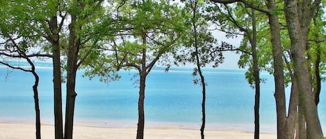 Vlak bij het strand