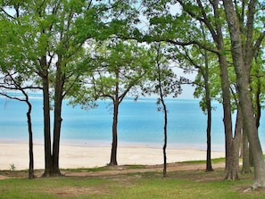 Une plage bordée d’arbres, offrant une vue dégagée sur l’océan.