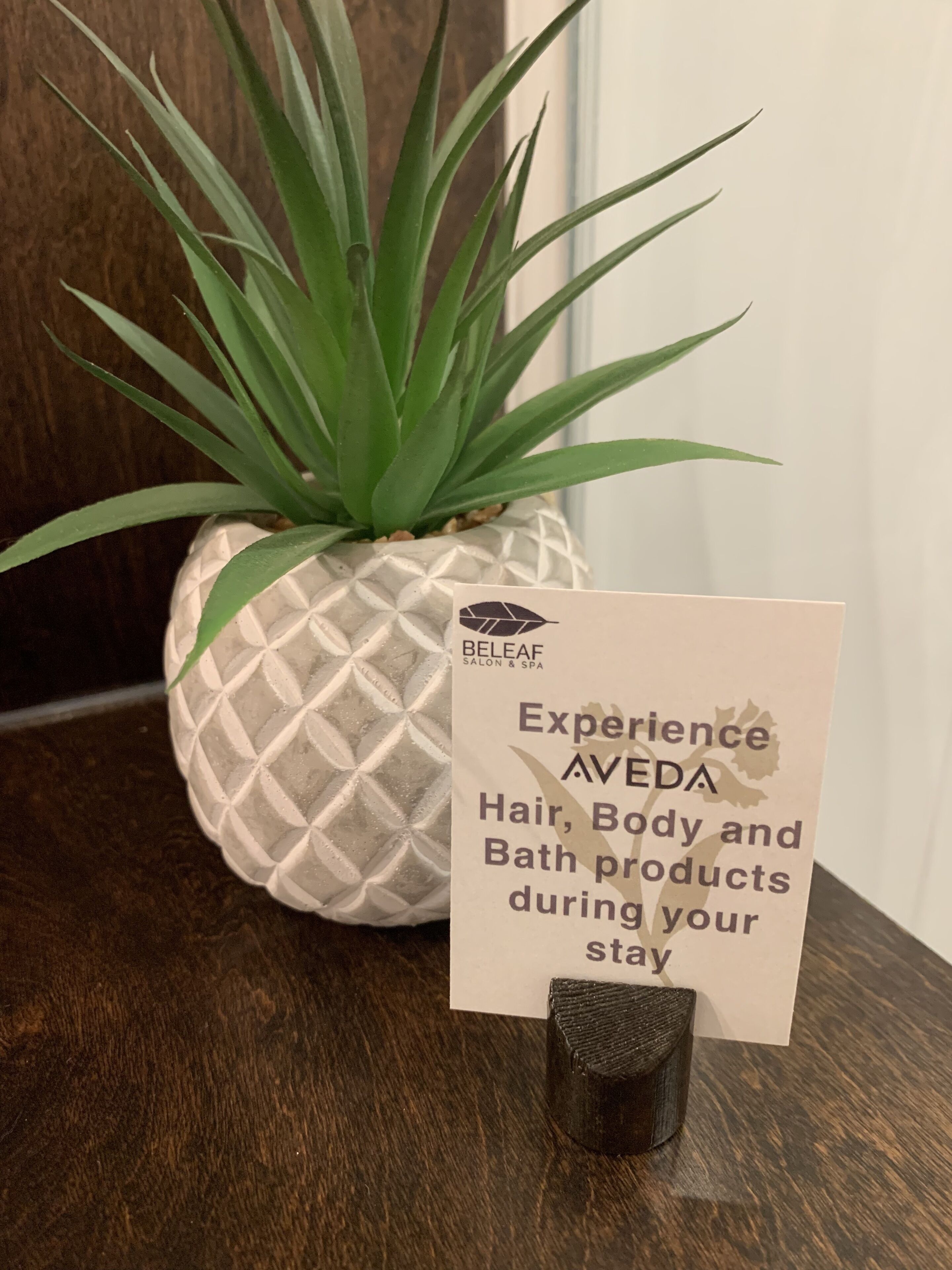 A sign for 'Experience AVEDA' with a pineapple-shaped pot beside it.