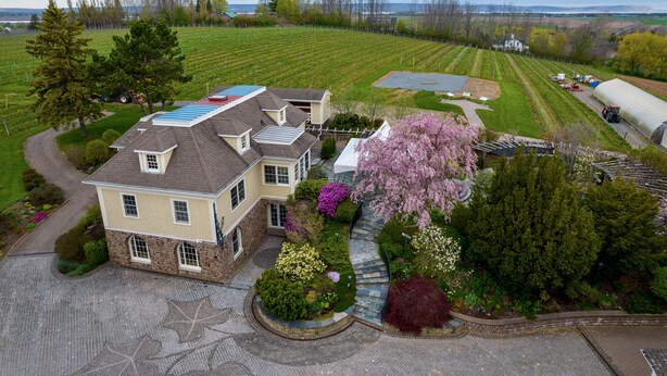 A large house with a spacious driveway, a well-maintained garden, and a vineyard in the background.
