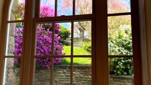 A view through a wooden-framed window with multiple panes, overlooking a garden with pink flowers and green grass.