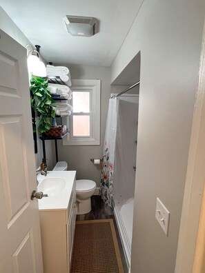 Shower, hair dryer, towels, soap