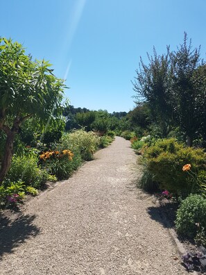 Terrein van de accommodatie