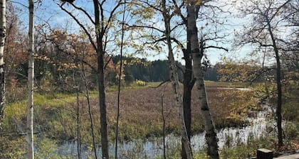 2 bedroom cabin near Sugar Lake 15 minutes from Grand Rapids. Very private