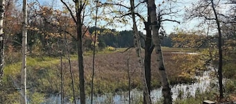 2 bedroom cabin near Sugar Lake 15 minutes from Grand Rapids. Very private