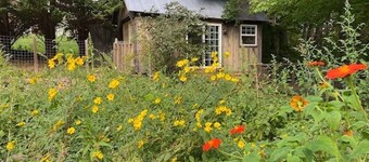 Creek View Cabin at Skipwillow Farm