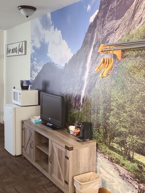 A living room with a large mountain landscape mural, a television on a wooden cabinet, a microwave, and a coffee maker.