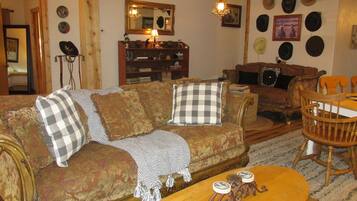 Peis, bøker, musikkbibliotek og stereoanlegg