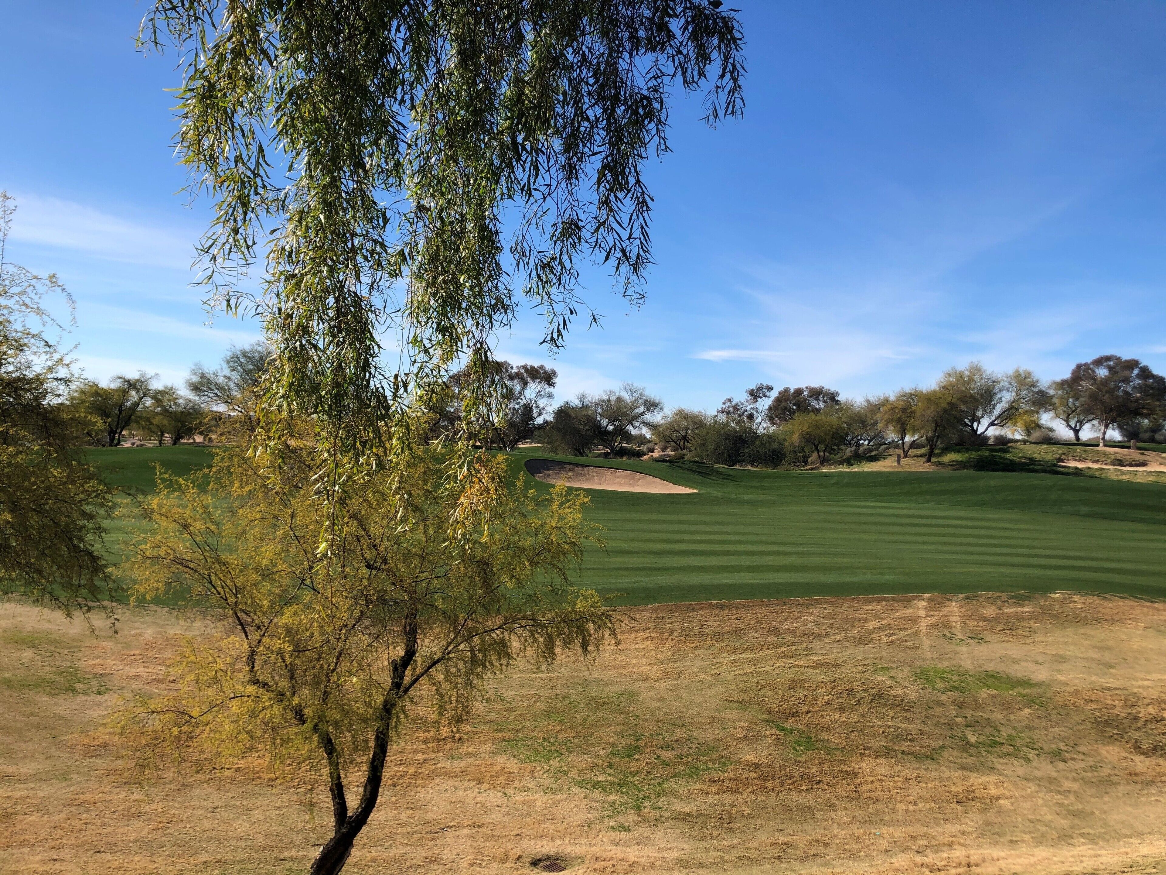 Un parcours de golf avec un ciel dégagé, de l’herbe verte et des arbres.