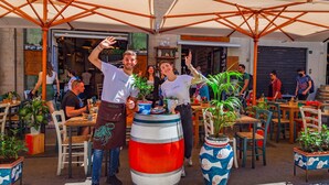 An outdoor café with tables and chairs, potted plants, and umbrellas. - Dante's house, in the historic center of Palermo (Palermo)