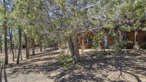 A rustic cabin surrounded by tall pine trees, with a dirt ground and a wooden fence. - Bison Ridge 4 BR, 4BA Cabin with National Forest access and views! (Show Low)