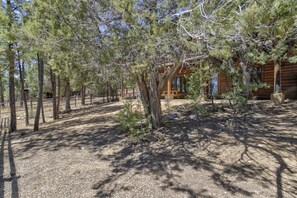Property grounds - Bison Ridge 4 BR, 4BA Cabin with National Forest access and views! (Show Low)