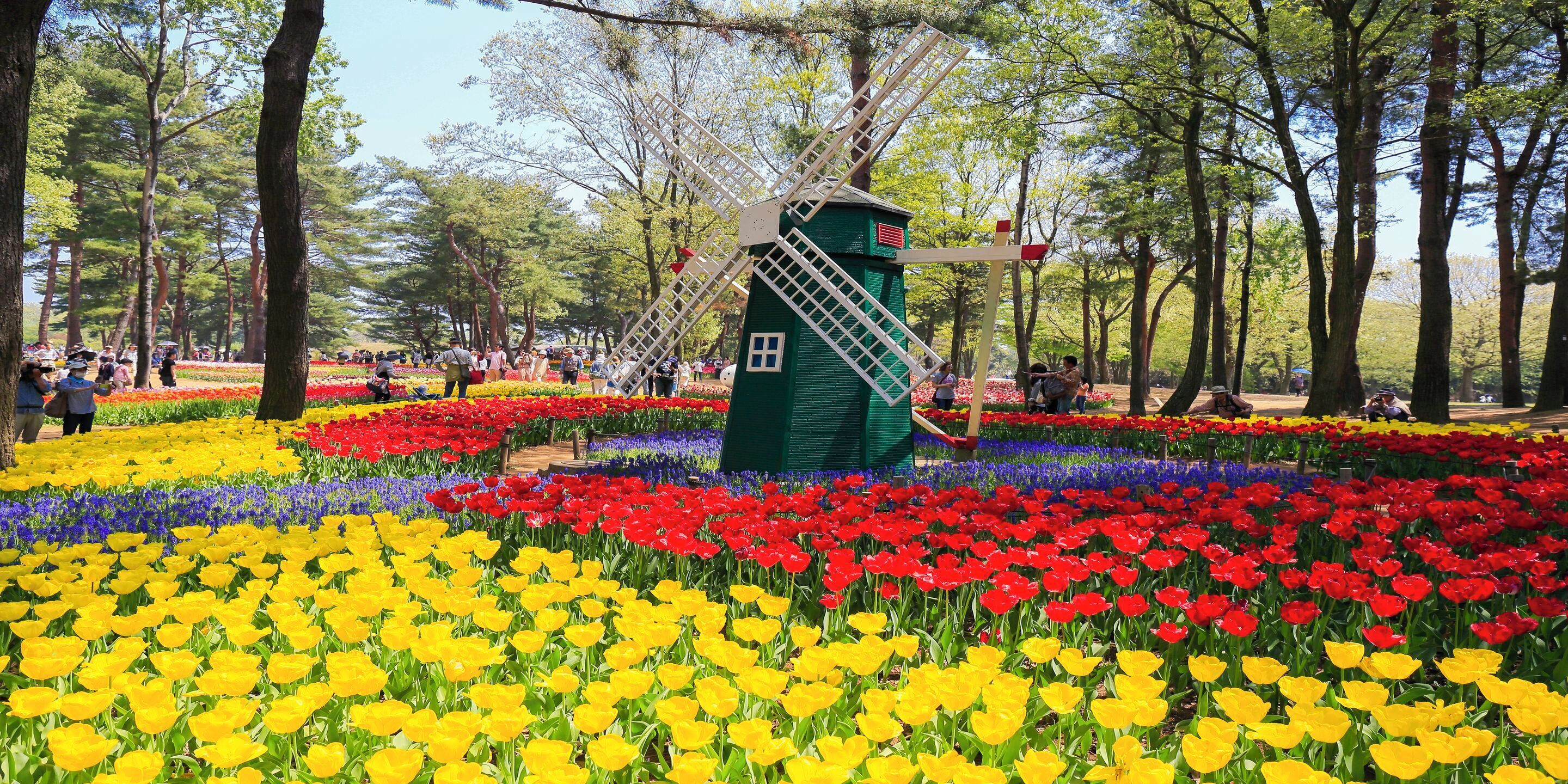 A park with a windmill, flower beds, and trees.