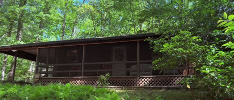 A rustic cabin with a wooden deck, surrounded by dense forest and ferns.