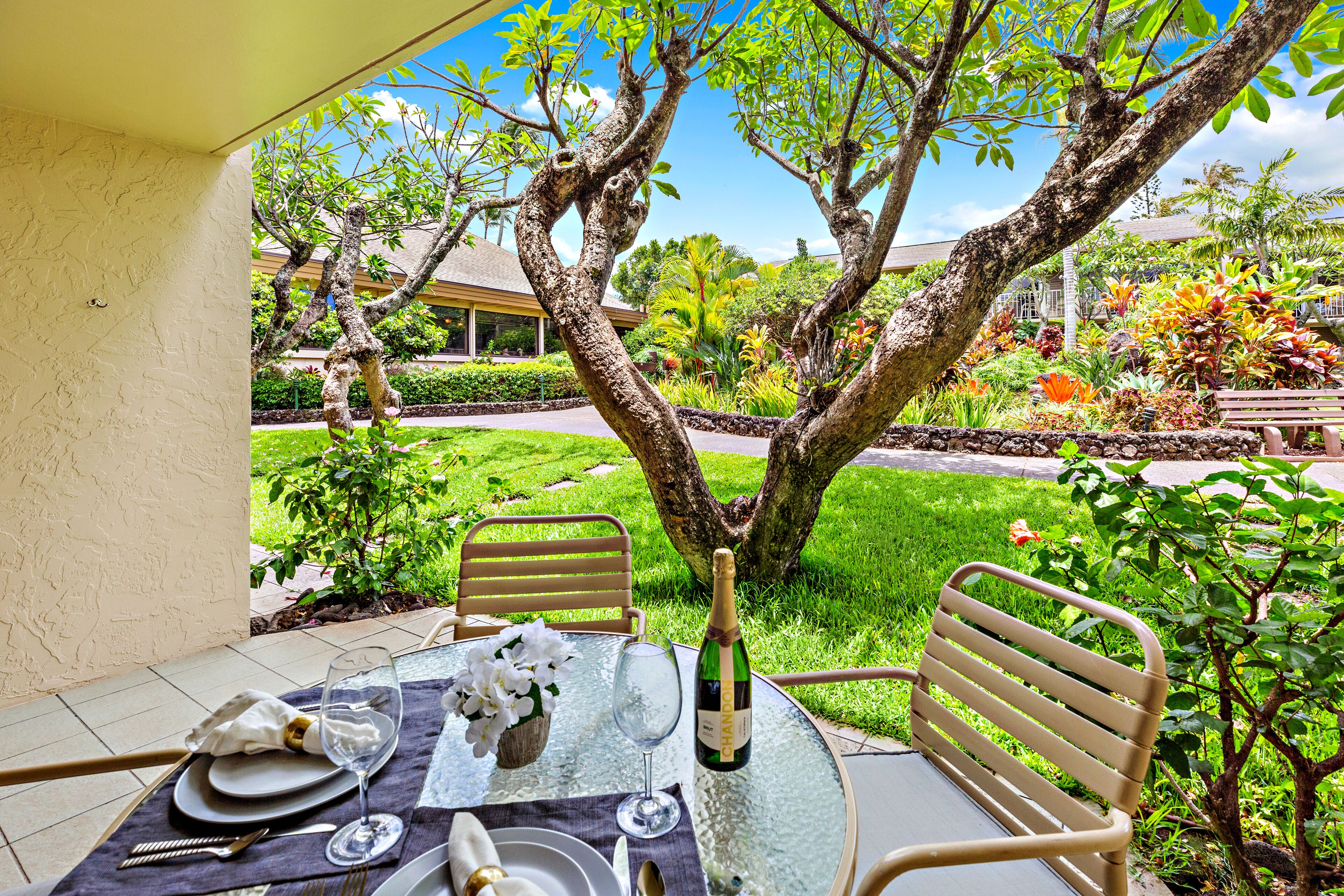 My Perfect Stays Special: Dec 2-15 $229